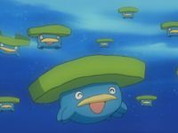 Lotad (multiple)