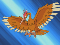 Rico's Fearow