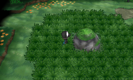 Route 20 Moss Rock XY.png