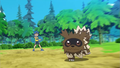 Youngster Zigzagoon Tackle ORAS Trailer.png