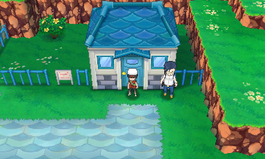 The Star of the Contest Event  Pokémon Trainer ~ Pokémon Fan Community