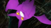 Rocket Prize Master's Crobat