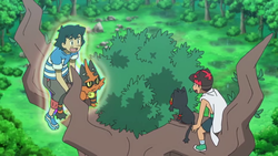 You Can Claim A Scarf-Wearing Zarude And Shiny Celebi In Pokémon