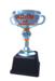 Duel Trophy Fighting Silver.png