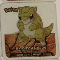 Pokémon Square Lamincards - 27.jpg