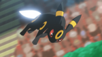 Gladion Umbreon Iron Tail.png