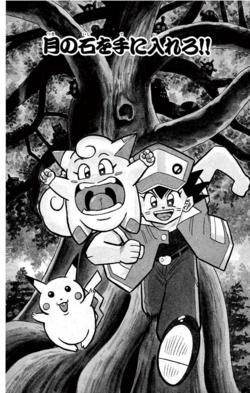 Pokévision - Bulbapedia, the community-driven Pokémon encyclopedia