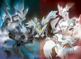 Reshiram and Zekrom confronting Kyurem and its Black and White Forms