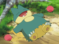 Munchlax's miscolored underbelly