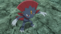 Kagetomo's Weavile