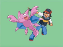 Ash and Gligar DP.png