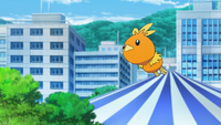 Harmony's Torchic