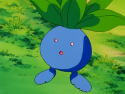 Melanie Oddish.png