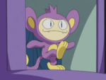 Meowth Aipom.png