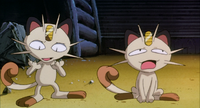 Meowthtwo in Mewtwo Strikes Back