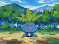 Eliza's Oddish