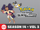 Pokémon BW S14 Vol 3 Amazon.png