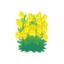 SMUSUM Yellow Flowers.png