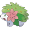 492Shaymin-Land.png