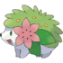 492Shaymin.png