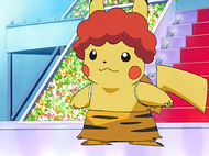 Hearthome Collection Pikachu.png