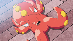 Pokémon - Octillery (Arc-En-Ciel)