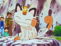 Timmy's Meowth