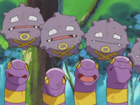 Rico's Ekans and Koffing (multiple)