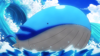 Rocket Prize Master's Wailord