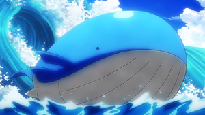 Rocket Prize Master Wailord.png