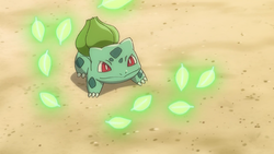 Shauna Bulbasaur Razor Leaf.png