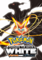 Victini and Zekrom movie poster.png