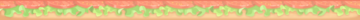 SV Map Frame Phone Case Sandwich Tomato Footer.png