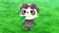 Ash's Pancham