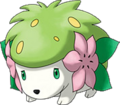 0492Shaymin Ranger2.png