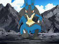 Riley's Lucario is training to become an Aura Guardian