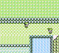 Skip rival Route 22.png