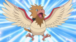Spearow anime.png