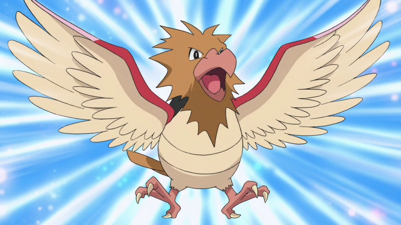 File:Spearow anime.png