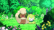 Hatterly Whimsicott Petilil.png
