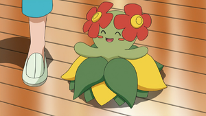 Noelle Bellossom.png