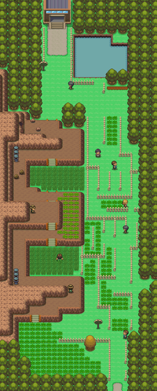 Sinnoh Route 214 - Bulbapedia, the community-driven Pokémon encyclopedia