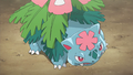 A trainer's Mega Venusaur