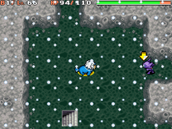 Powder Snow PMD TDS.png