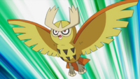 Ash's Noctowl