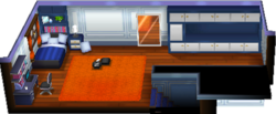 Player Bedroom m XY.png