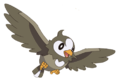 396Starly XY anime.png