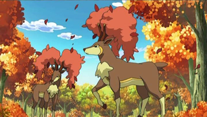 Autumn Sawsbuck anime.png