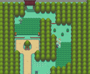 Johto Route 37 HGSS.png