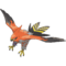 663Talonflame.png